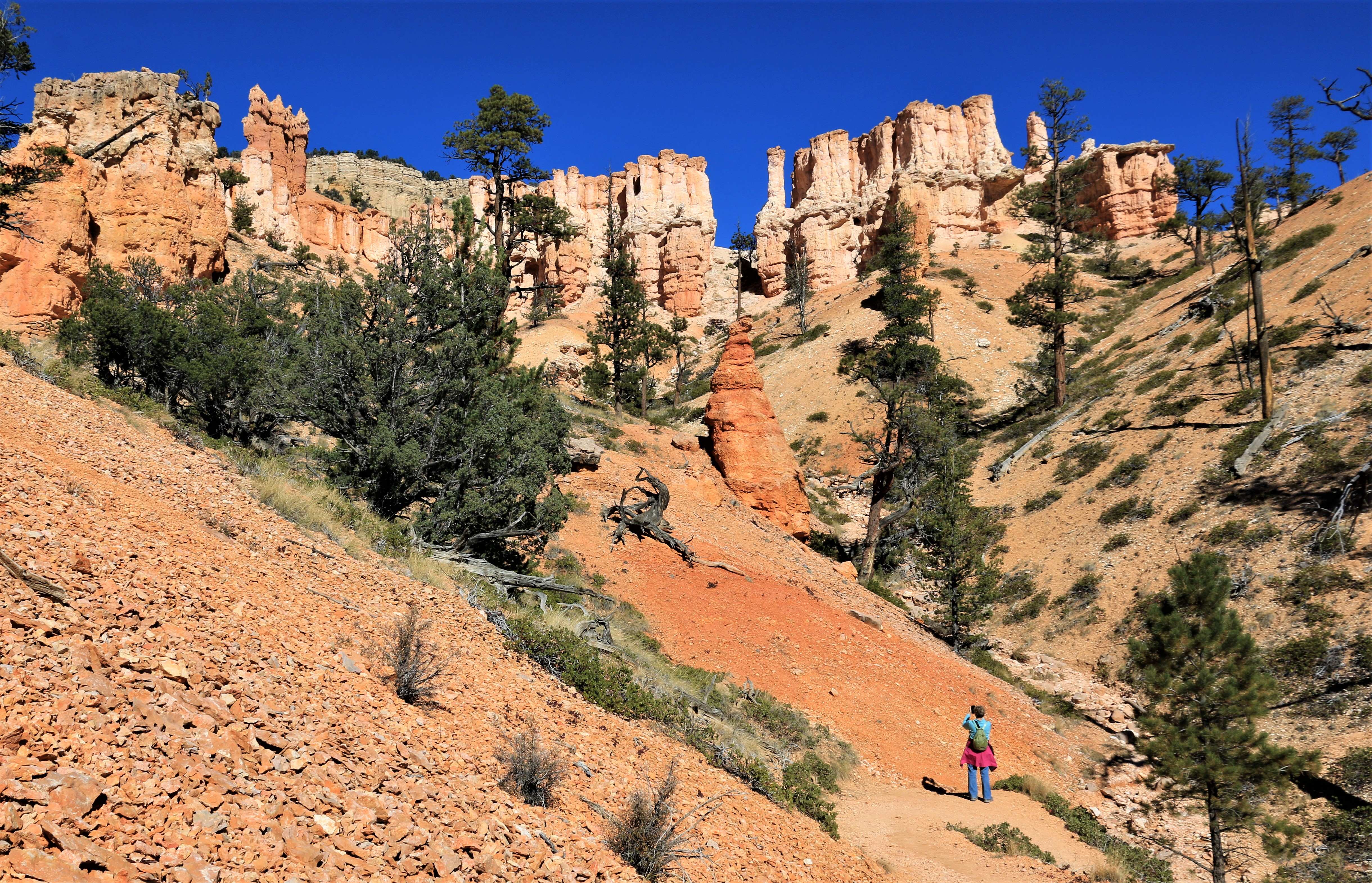 Bryce Canyon NP